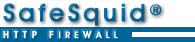 Safesquid firewall and caching proxy