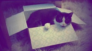 opensource alternative to dropbox opensource alternative to dropbox